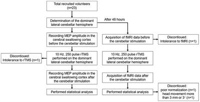 The Effect of Repetitive Transcranial Magnetic Stimulation of Cerebellar Swallowing Cortex on Brain Neural Activities: A Resting-State fMRI Study
